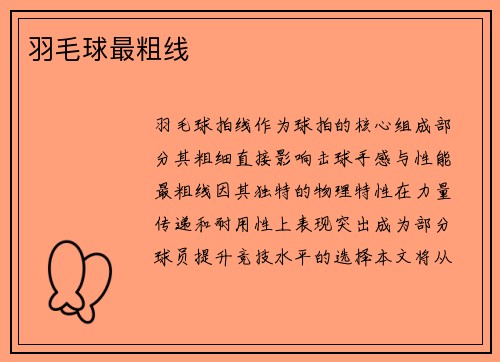 羽毛球最粗线