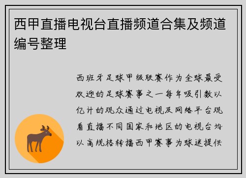 西甲直播电视台直播频道合集及频道编号整理